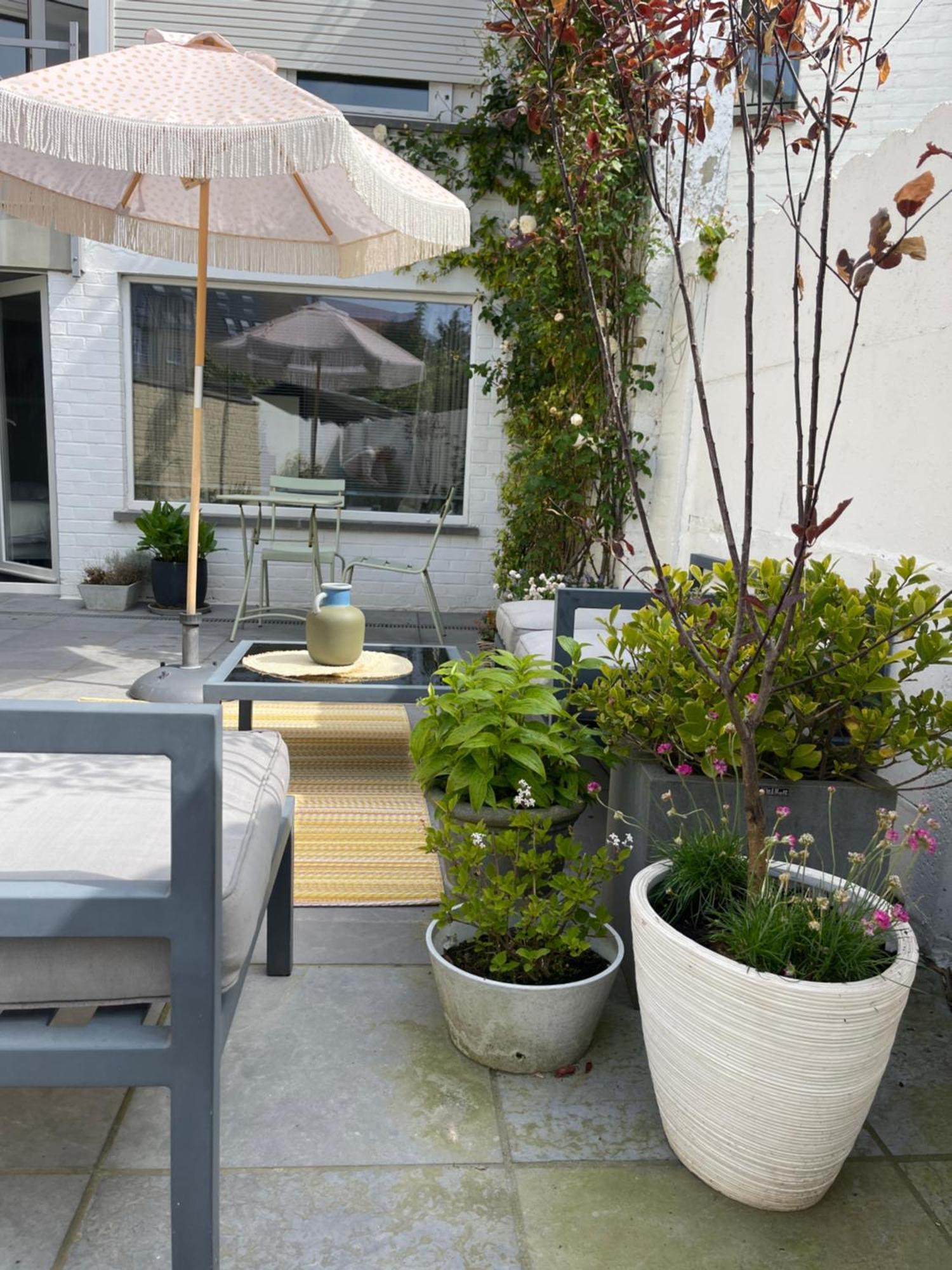 Guesthouse Poppies , Free Parking Oostende Bagian luar foto